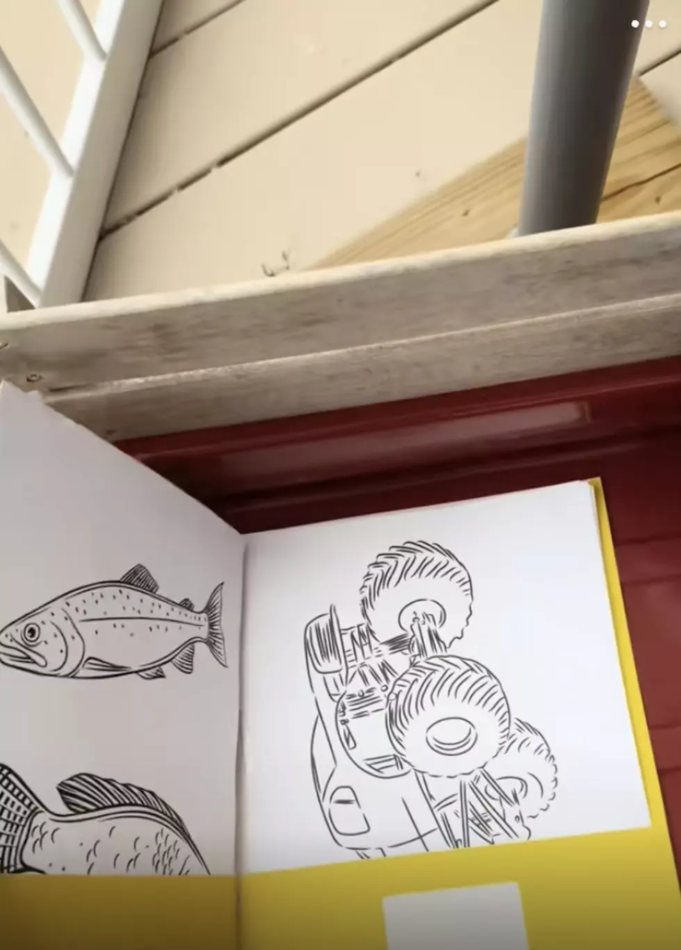 Madi Jones TikTok