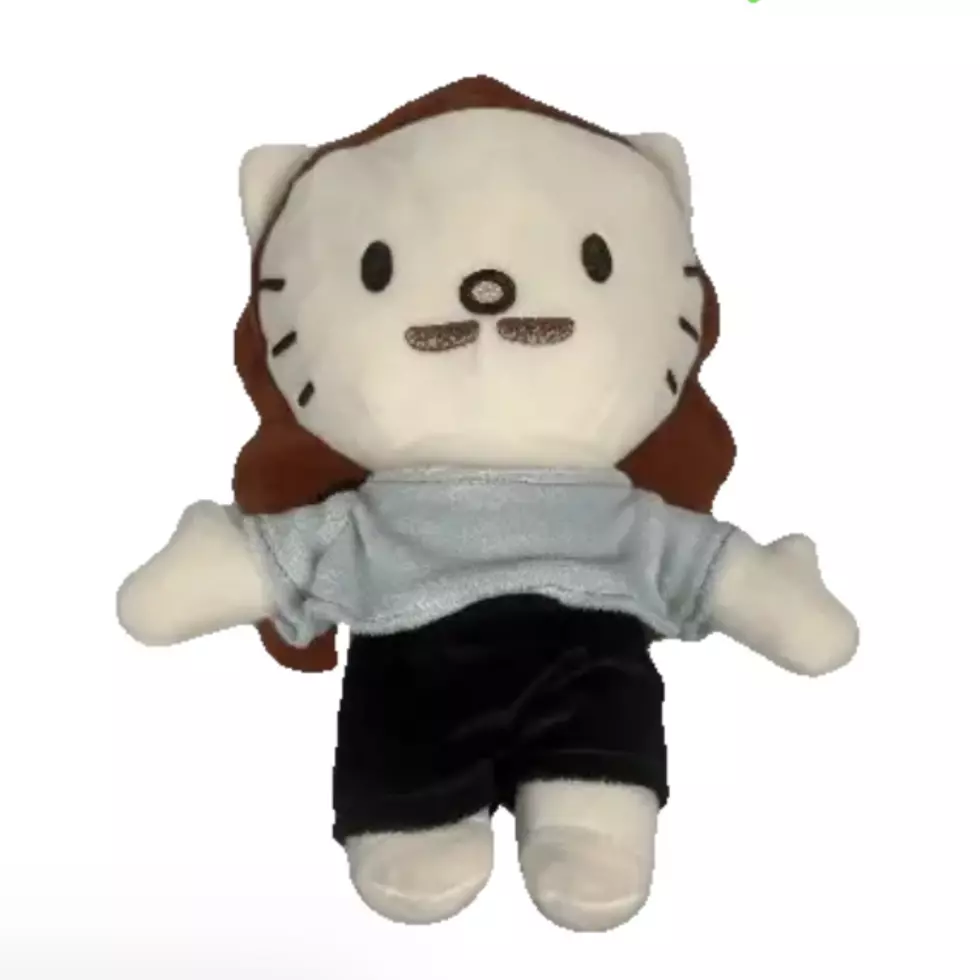 Morgan Wallen Plushie