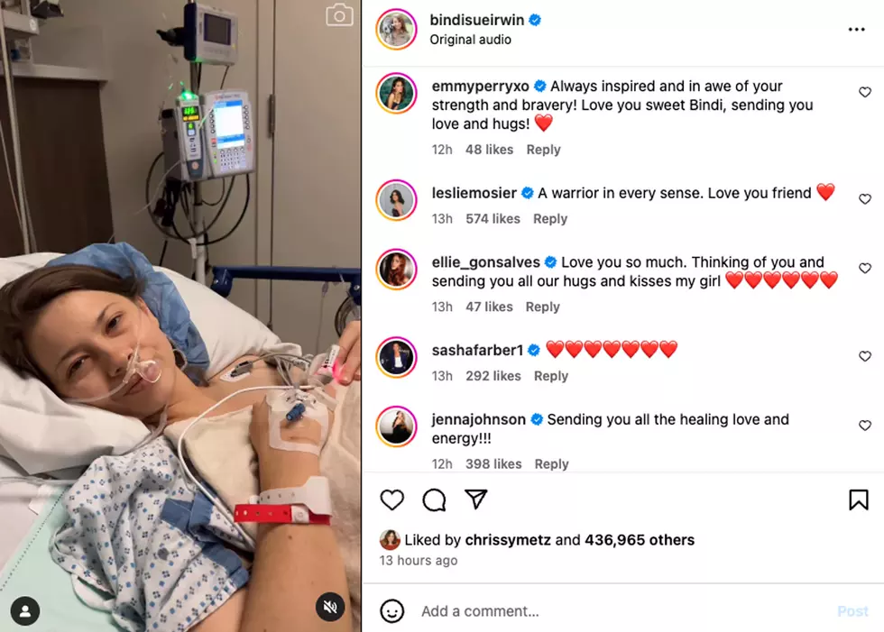 Bindi Irwin Fan Response