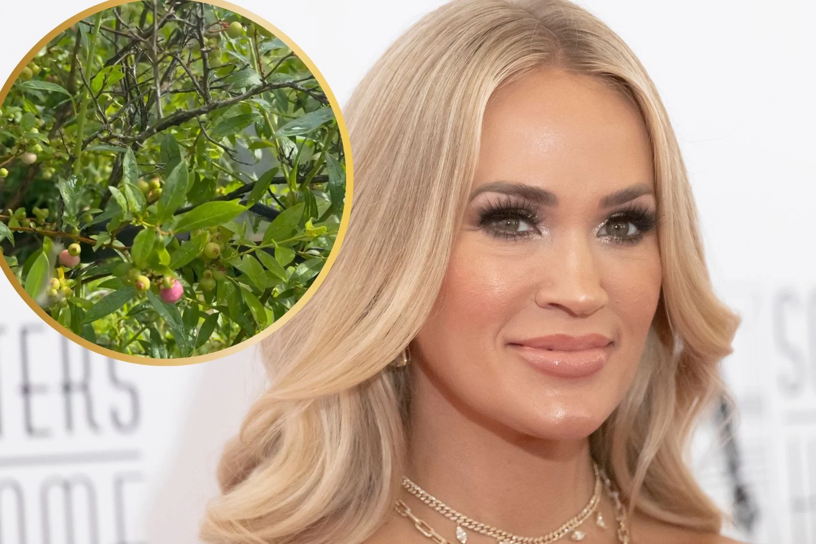 Carrie Underwood Met the Devil in Her Garden — Sort Of
