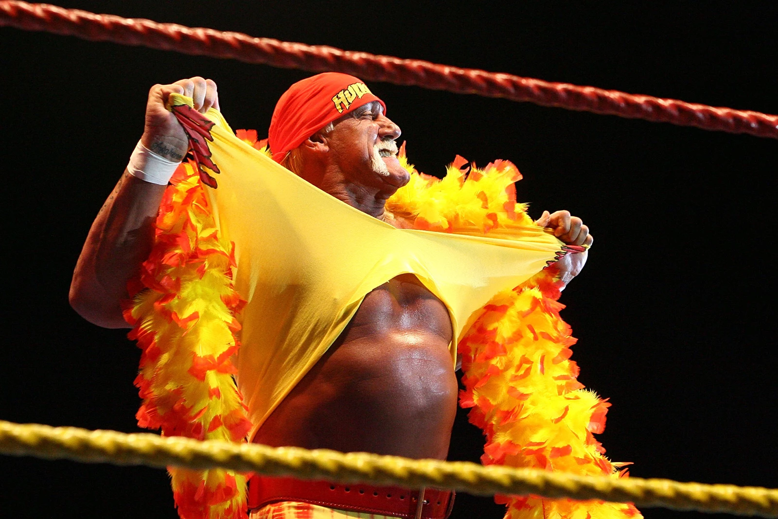 Hulk Hogan Dead at 71