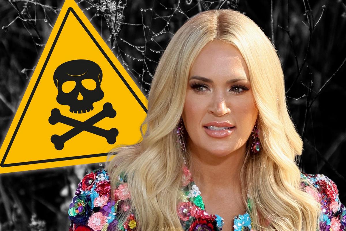 Carrie Underwood Found Something Deadly in Her Garden