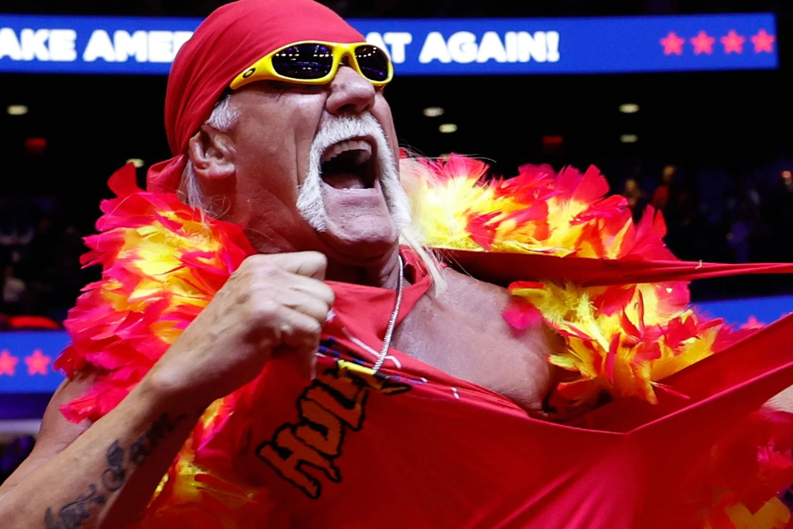 Hulk Hogan’s Will, Estate Details Revealed