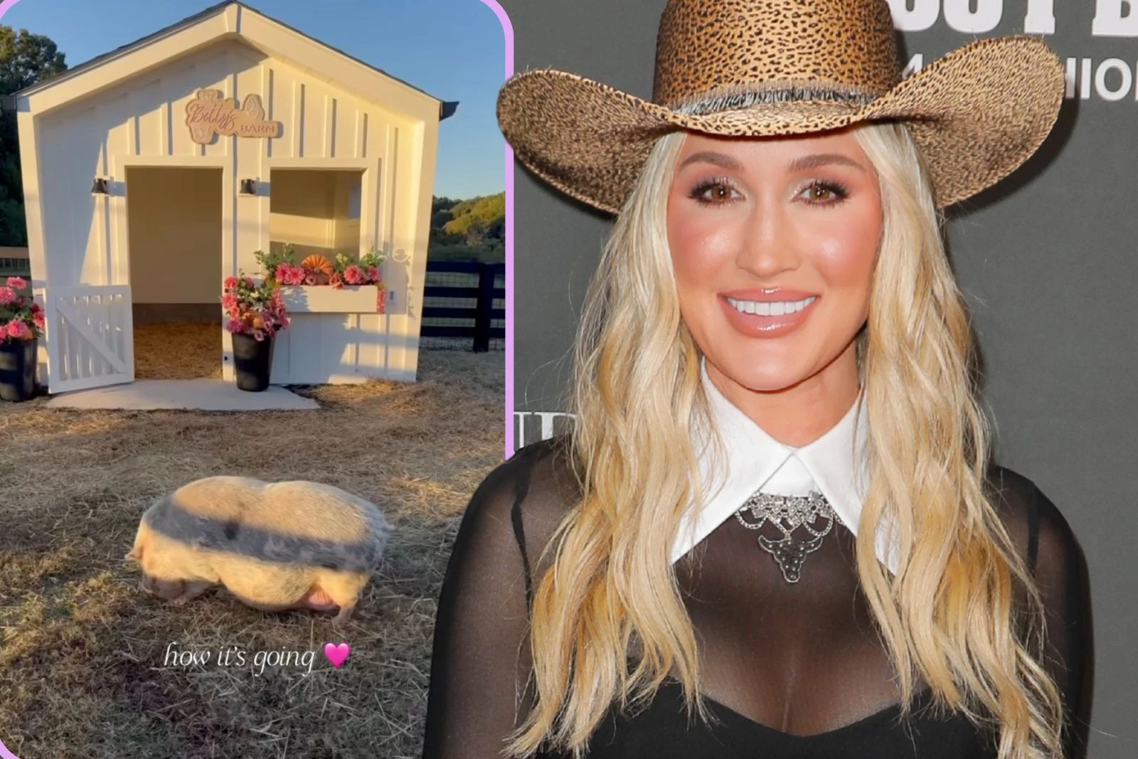 Brittany Aldean Gives Update on Pet Pig Betty’s ‘Next Chapter’