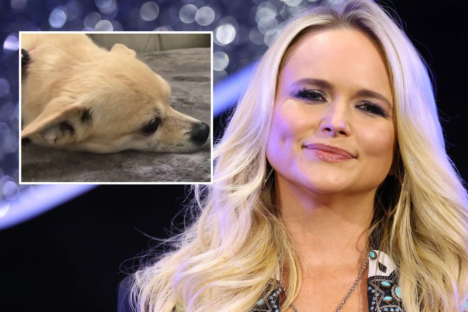 Miranda Lambert Mourns the Loss of Her Dog Cher