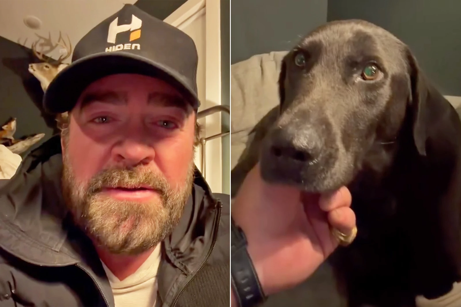 Lee Brice's Dog Charlee Is Home, But Not Totally Healthy