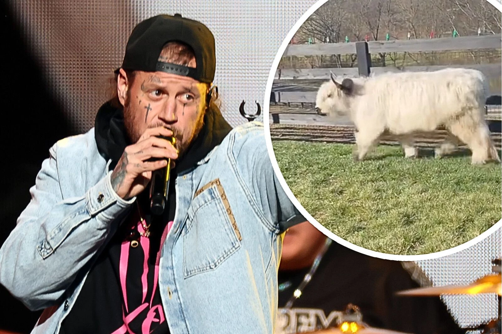 WATCH: Jelly Roll + Bunnie Xo's Adorable Cows Have Escaped!