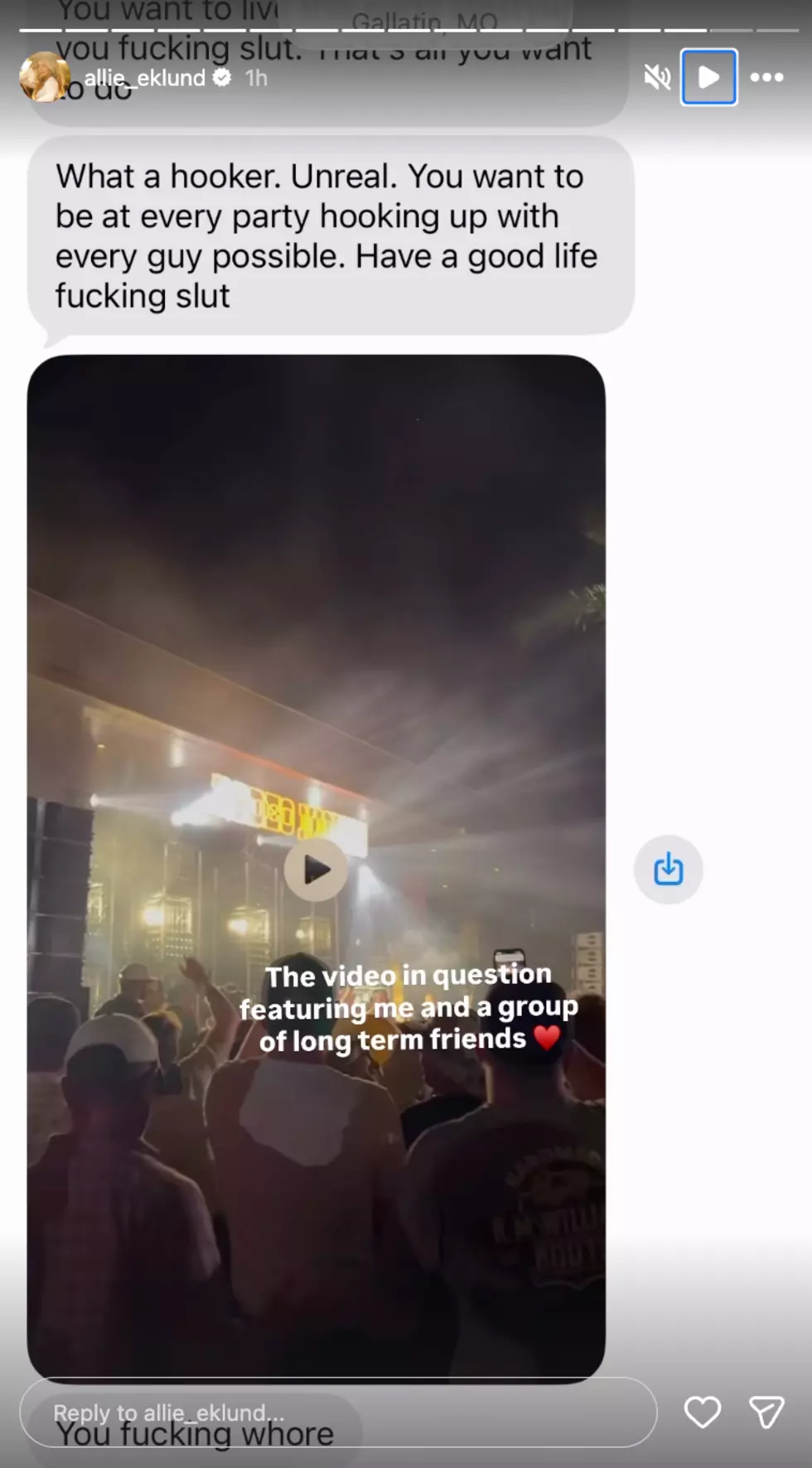 Allison Eklund Instagram Stories