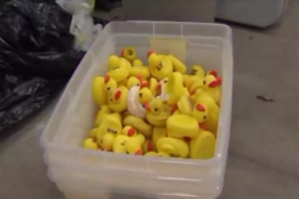 2,500 Rubber Duckies Stolen in Illinois [VIDEO]