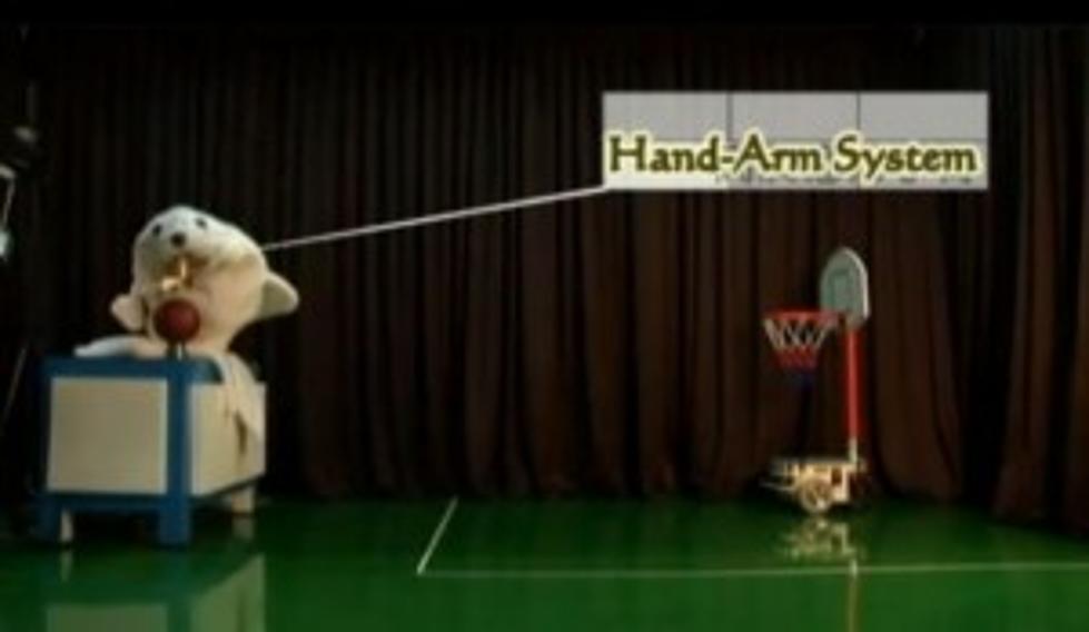 Robot Seal Is a Basketball Sharp Shooter [VIDEO]