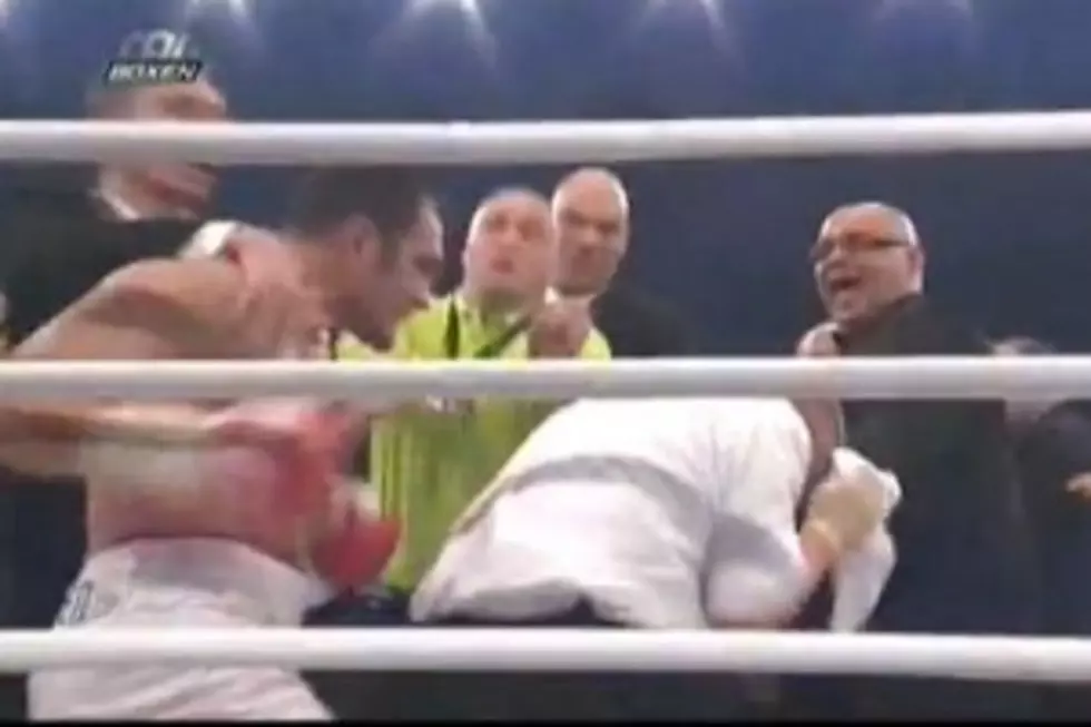 Boxer Punches Ref [Video]