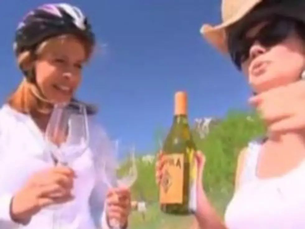 Kathie Lee and Hoda Drink Up a Storm at the Aspen Food and Wine Classic [VIDEO]