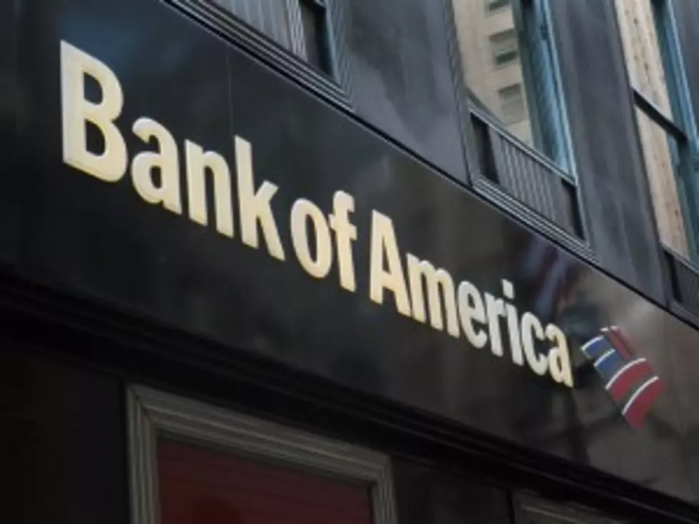 What Is Bank of America Charging Customers for This Time? &#8211; Dollars and Sense