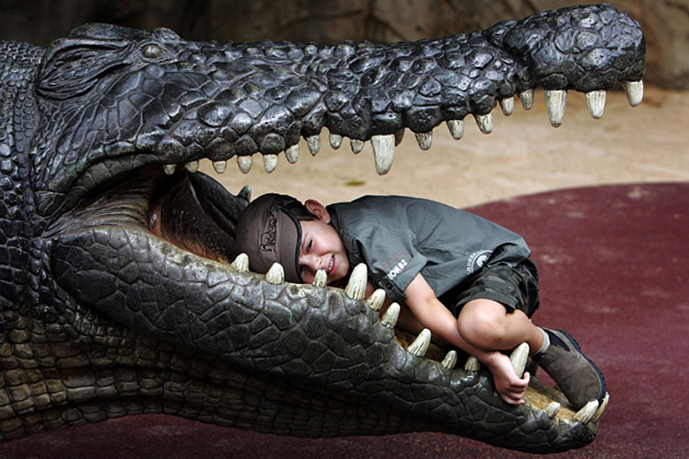 Crocodile Infestation Gives Kids a Day Off From School