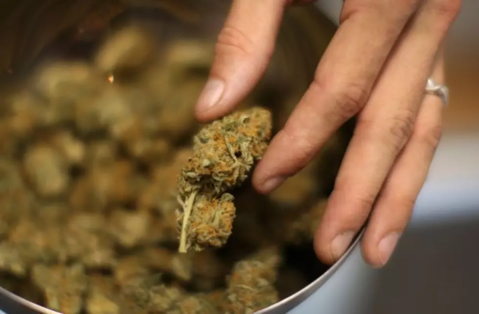 Should Recreational Marijuana Be Legal?