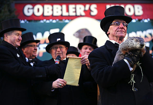 Things You Probably Didn&#8217;t Know About Groundhog&#8217;s Day