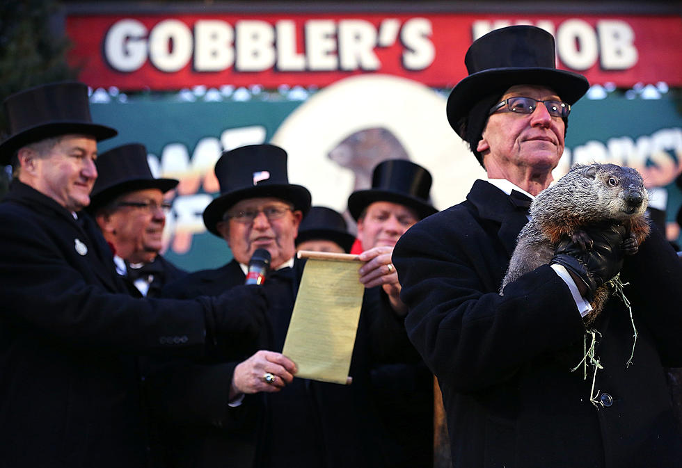 Punxsutawney Phil Does Not See Shadow; Predicts Early Spring