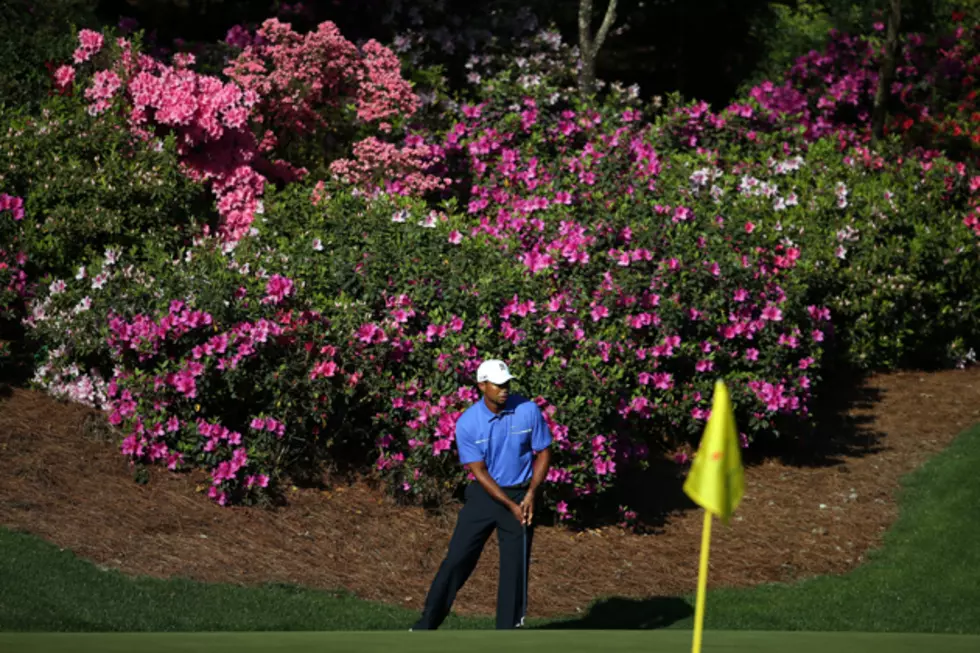 Buzzer Beaters: Tiger Once Again Favorite in Augusta, Jackie Robinson Anniversary Approaches and More