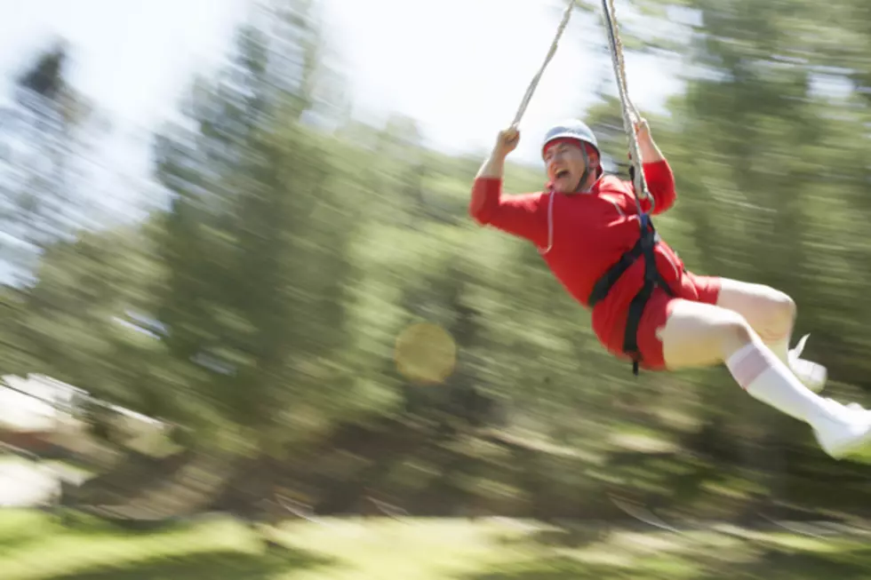 Check Out New Jersey’s Tree To Tree Adventure Park