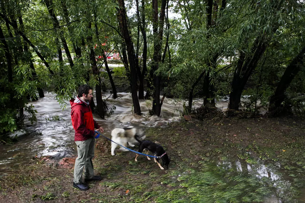 Were Two Dogs Thrown Into the Flooded Big Sioux River? Police Unsure