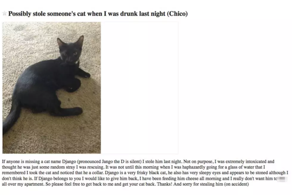 Drunk Man Stole Cat &#8211; Wants To Give it Back