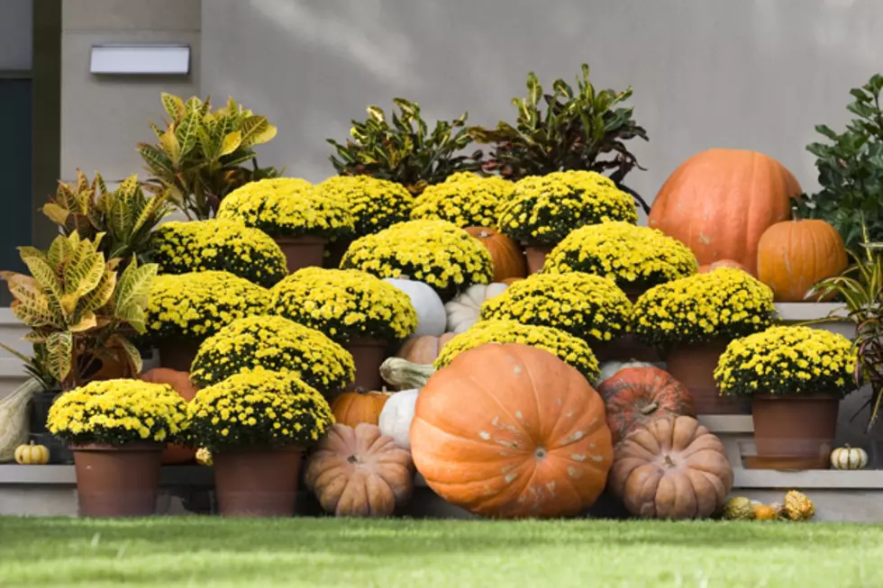 Ways to Reuse Pumpkins