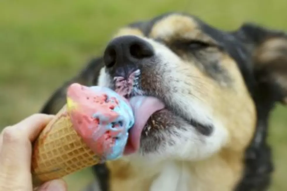 Wine Ice Cream Will Have To Wait In Louisiana