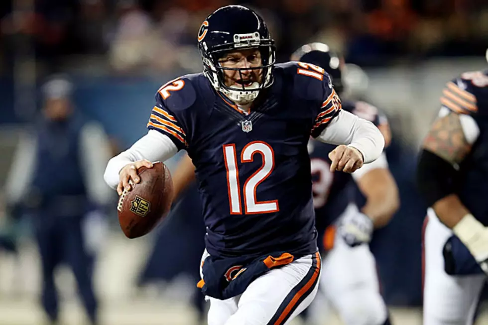 Bears Dismantle Dallas