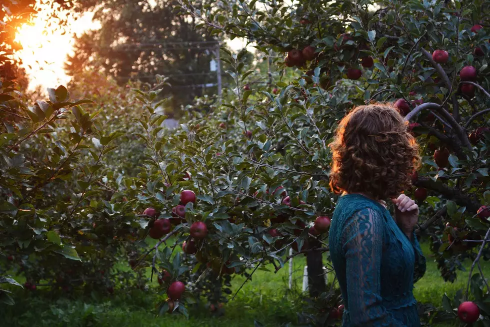 Local Apple Orchard Closing After 50 Years