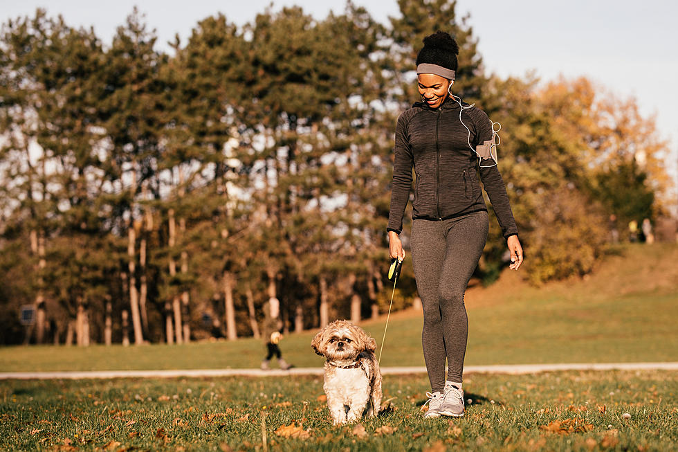 Roscoe Gym Owner Launches Walking Challenge to Raise Money for Gigi’s Playhouse