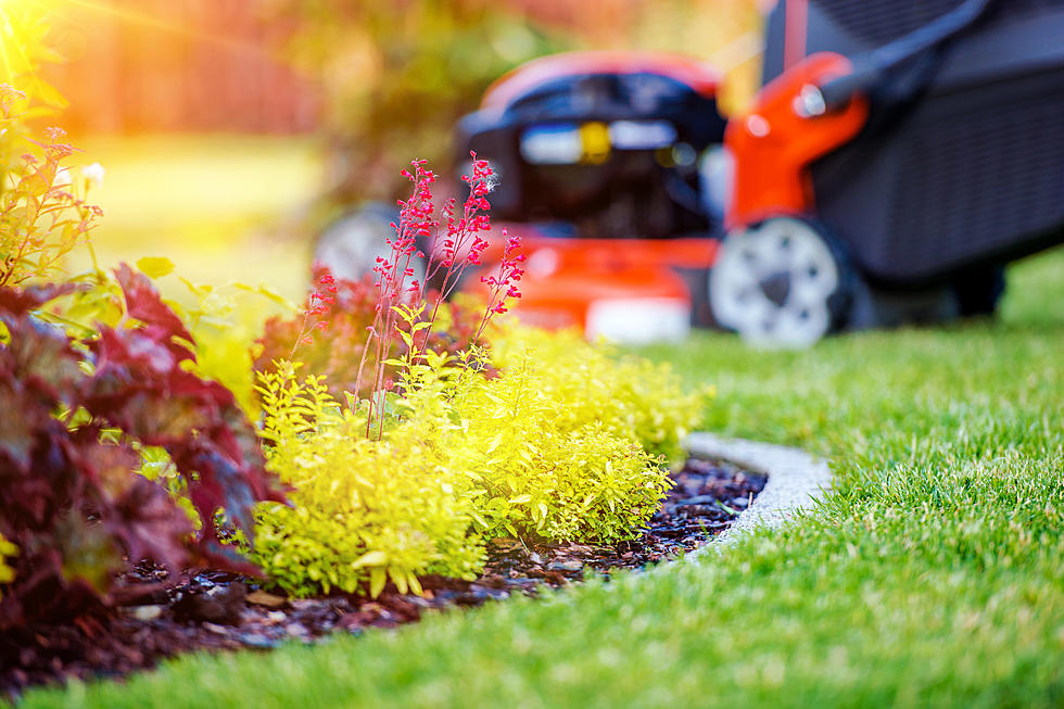 California Says No to Gas Lawn Mowers, Blowers