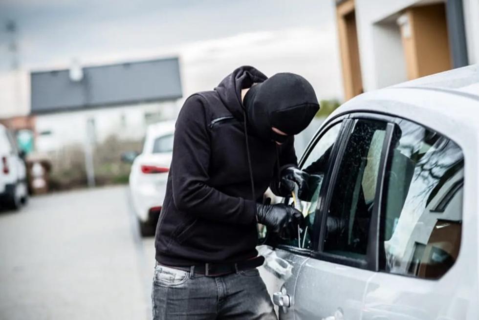 Catalytic Converter and Vehicle Theft in Waite Park