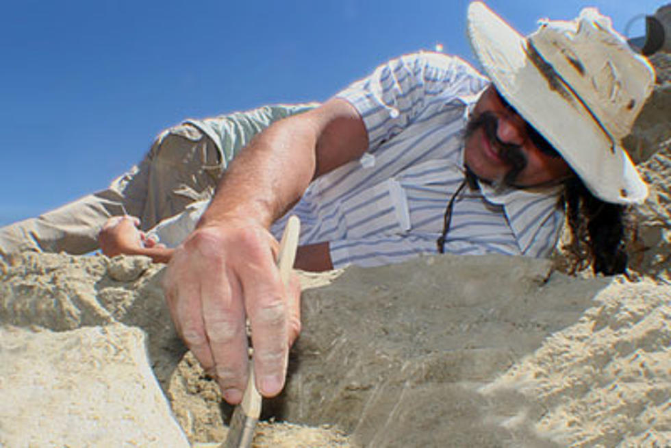 Visit a Real T-Rex Dig Site in Lusk, Wyoming