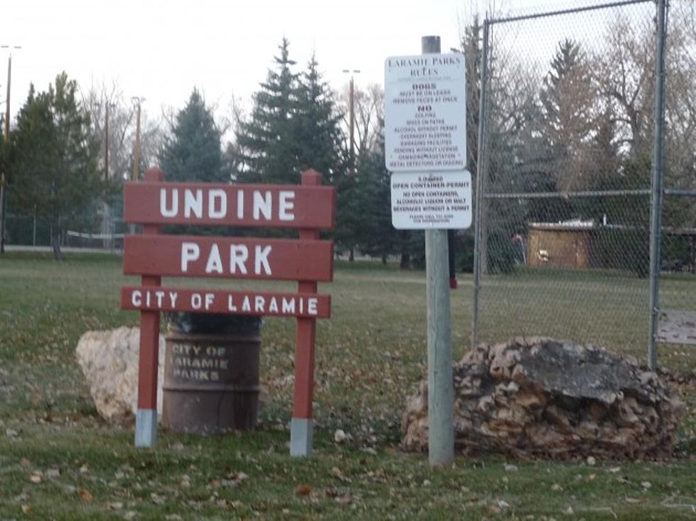 Ask The City: Undine Park