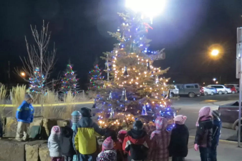 Laramie Lights Tree at First Street Plaza [PHOTOS]