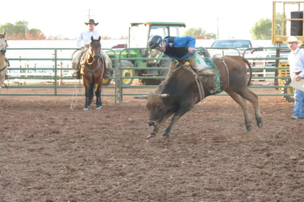 Junior Bull Riding Results