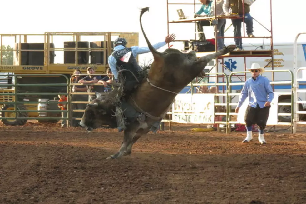 Mr. T Bull Riding Results