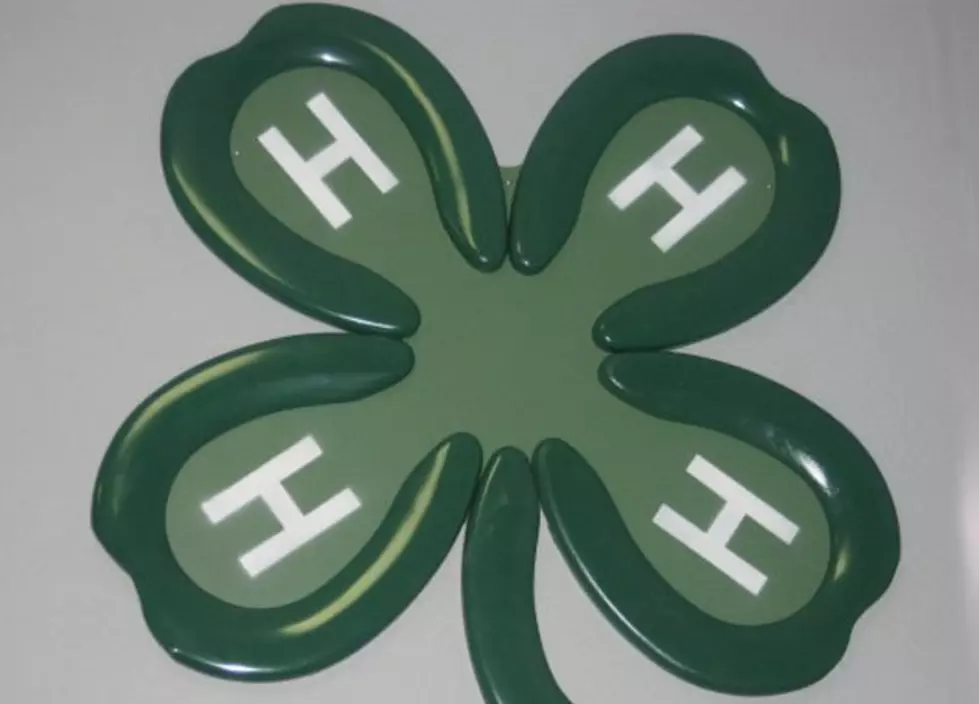 National 4-H Week Activities In Albany County