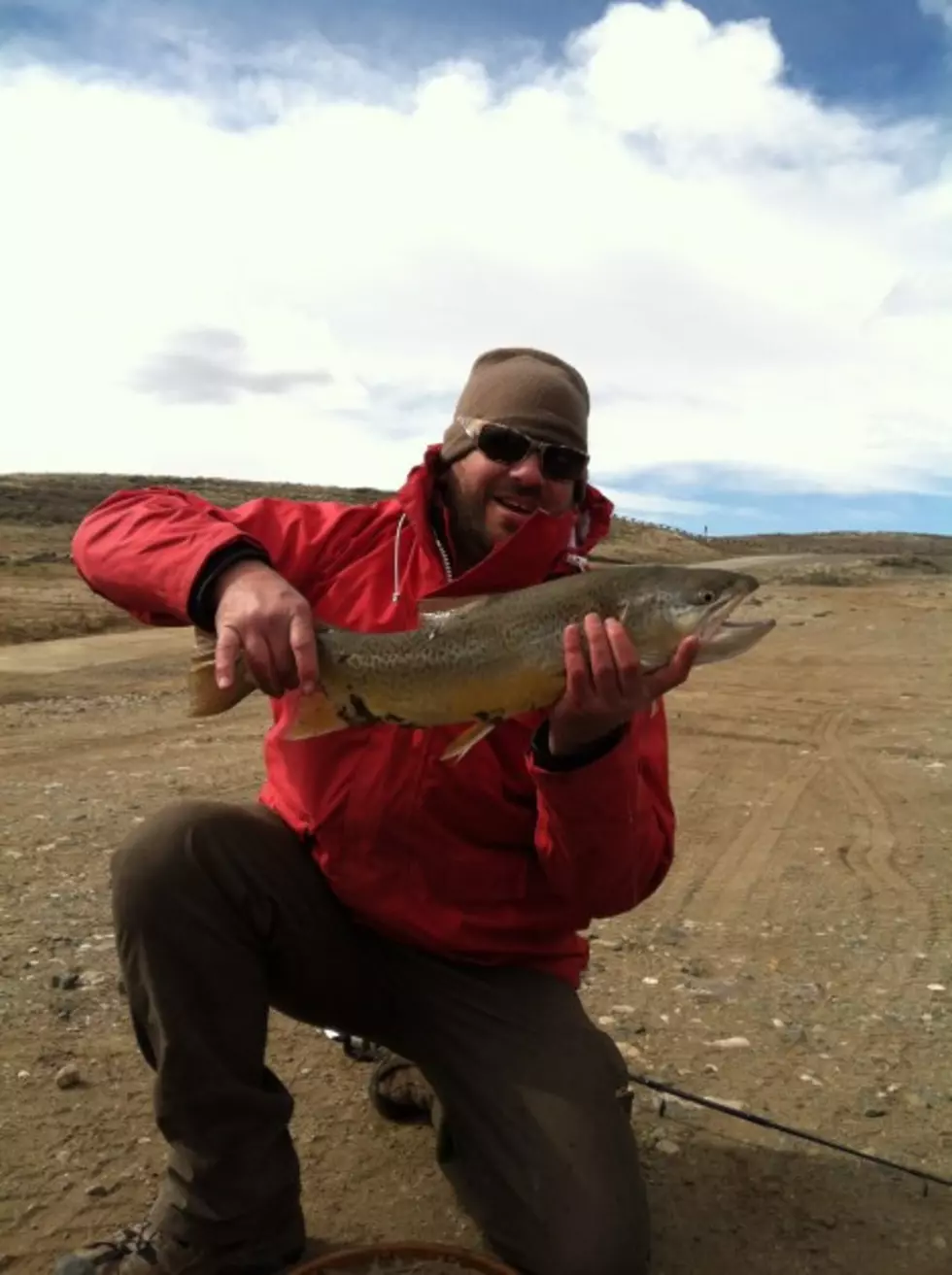 Trout Tips From Trautwein: Tiger Trout and Lessons Learned