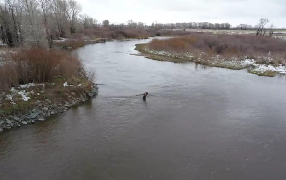 River Restoration Project on the Laramie River