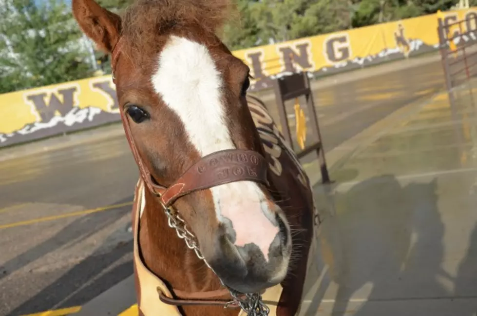 University of Wyoming Cowboy Kickoff Intermission Features Ragtime Cowboy Joe [VIDEO]