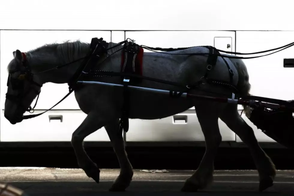 Horse-Drawn Wagon Rides