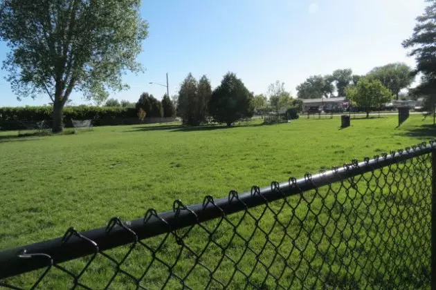 Ask the City: New Dog Park