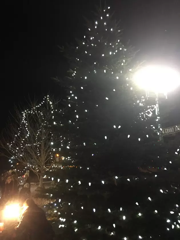 The Best Christmas Lights in Laramie [POLL]