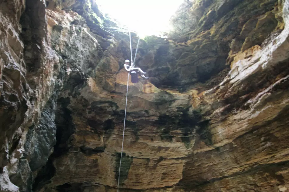 The University of Wyoming Will Be Repository For Trap Cave Fossils