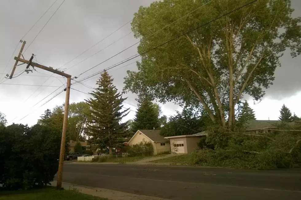 City Takes Stock of Windstorm Damage, Some Residents Still Without Power