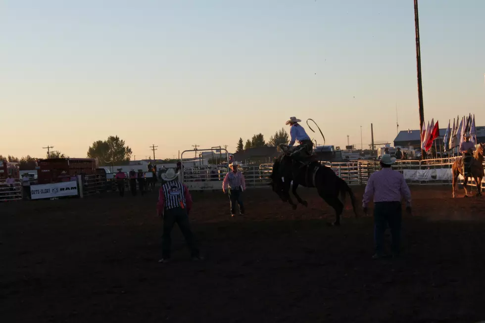 Top Performances Turned During Laramie Jubilee Days Rodeo