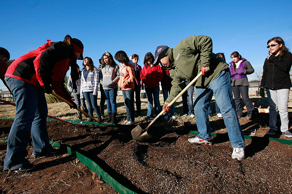 Free Compost Day For Laramie Residents