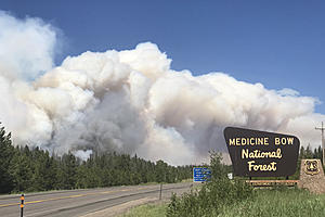 Wyoming Researcher Awarded $500,000 for Wildfire Study