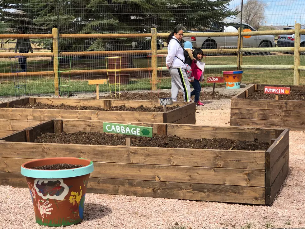 Veronica, Ruben and Joselyn check out some of the 29 raised beds at the Kiwanis Park Community Garden. They live 2 blocks away, and will support the garden. “It’s a wonderful addition to the park,” Veronica said.